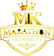 Marathon Kennels