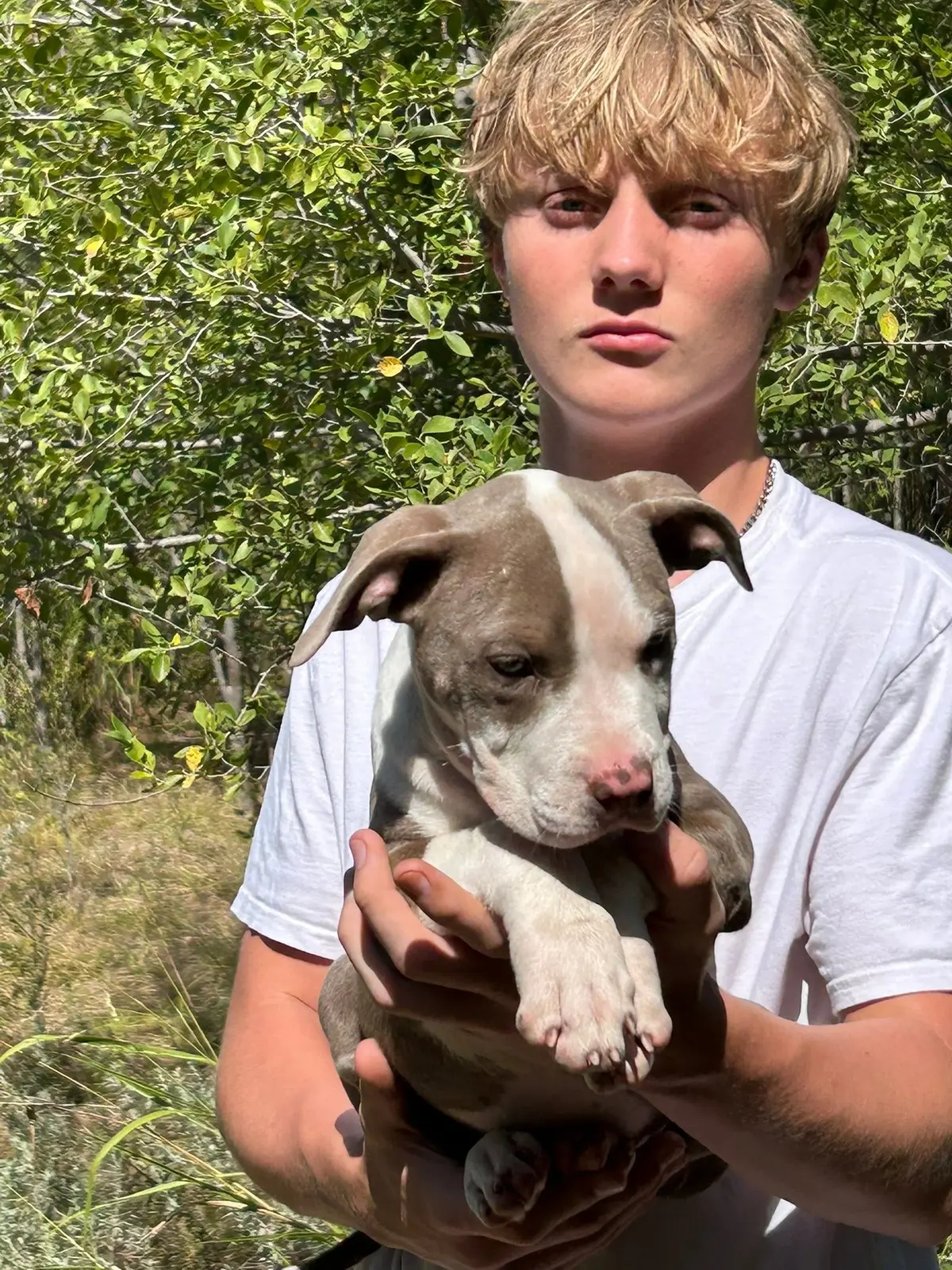 A teenager holding a merle puppy