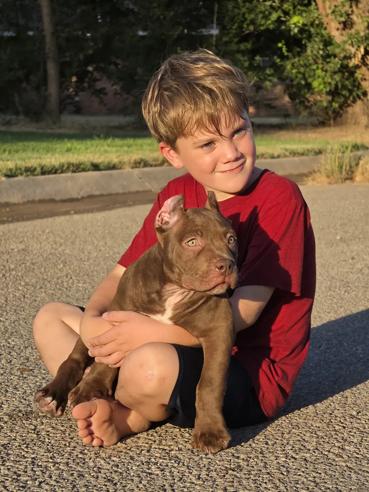 A boy sitting with a chocolate puppy at sunset
