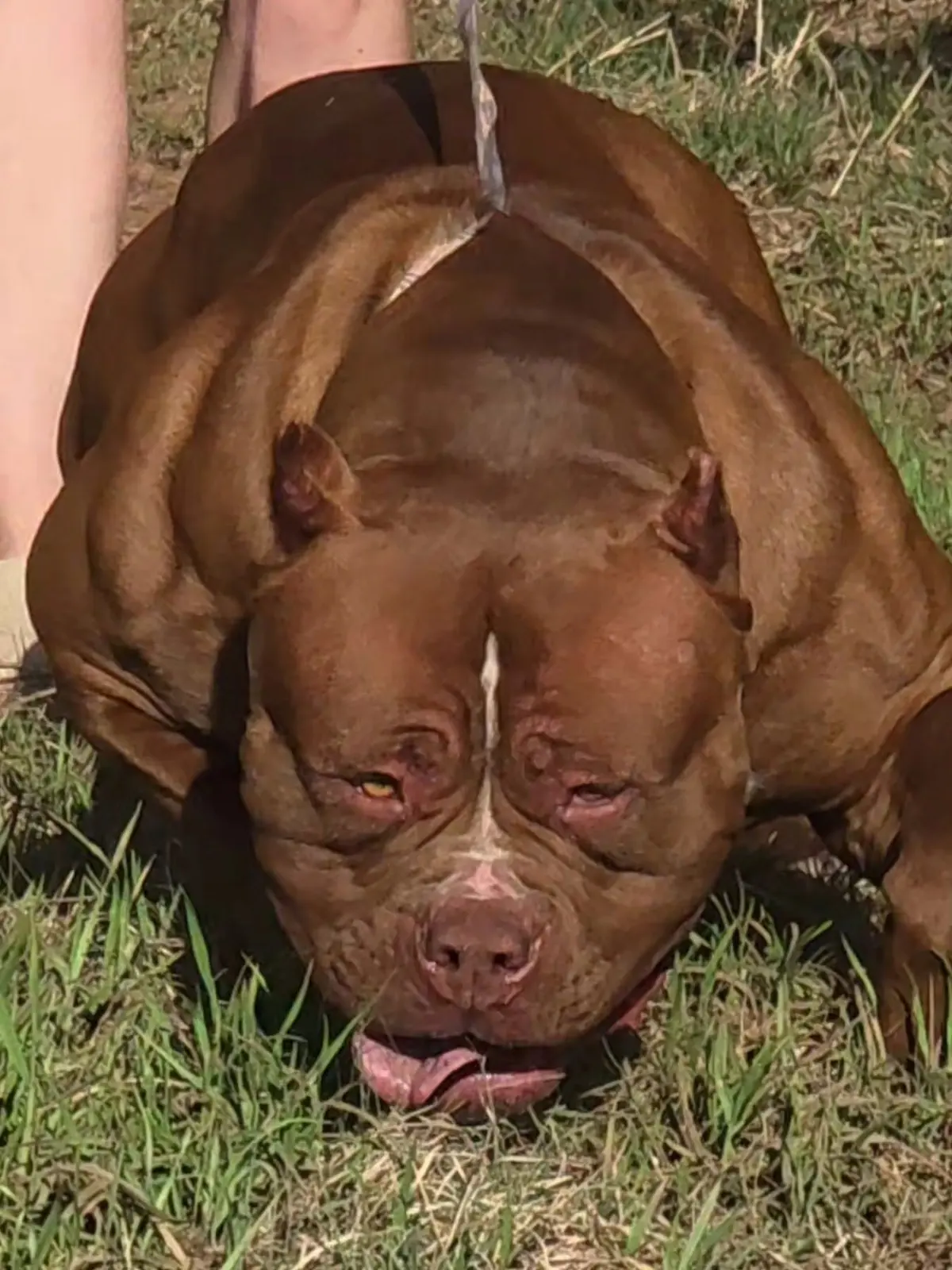 Chanel from above, showing her head and shoulders